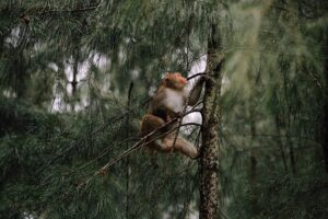 G82eafbbe0c5039deadb8f6532f310ca82fa4bb751e3a9e69af952cf783cb3e20ce05219f5f4404f495dcb19d8fb3e508f74171079fcf5f0f856580171596f816 640