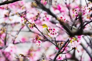 Ga1a57c5e1b848f95e00deb2d99125a8dcddf75508d59f2207033c97544a3dbc7750d6d8a37a334aa67c6b1de9e2f6b6782e52a0a1ae96a68c1efaea19e3eb789 640