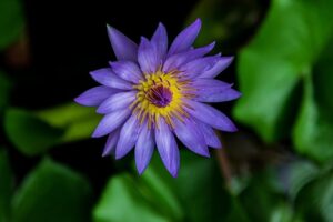 Gcd8ce7d704de3bb9c3bc70a08a24a9b2299308729fda59194d11dd70fc05c62d97d2bd60aa63efe5b22b5e84860d9fdad89a633abe619cfb3f8bf58ad6bf8767 640