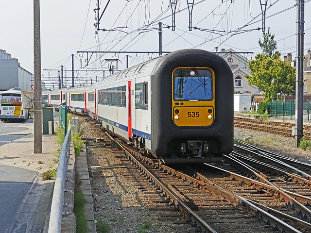 Gf02846b829bab99ef379ba32e74f763f472cd4e0330a5a1675175aa78146aac1b57068c554560090fb23feee1c77b76422170cccc17e803b99a1f7f14b16e3b6 640